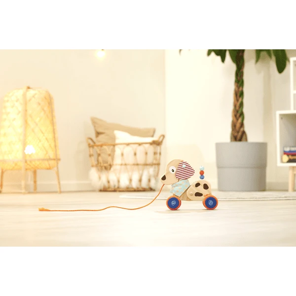 Eichhorn Trekhond 5 Eichhorn Trekhond - Afbeelding 5