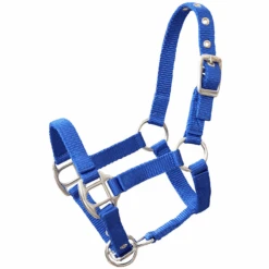 Kinderspeelgoed 27 Helga Kreft Halster Voor Tuinpaarden, Blauw